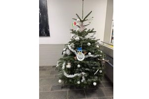 Der Baum ist fertig geschmückt!